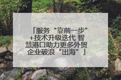 服务“靠前一步”+技术升级迭代 智慧港口助力更多外贸企业破浪“出海”