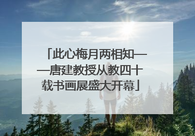 此心梅月两相知——唐建教授从教四十载书画展盛大开幕