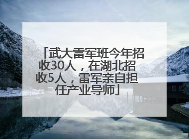 武大雷军班今年招收30人，在湖北招收5人，雷军亲自担任产业导师