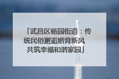武昌区杨园街道：传统民俗邂逅婚育新风 共筑幸福和谐家园