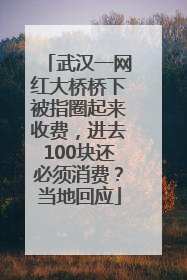 武汉一网红大桥桥下被指圈起来收费，进去100块还必须消费？当地回应