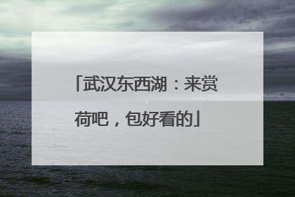 武汉东西湖：来赏荷吧，包好看的
