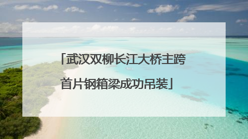 武汉双柳长江大桥主跨首片钢箱梁成功吊装