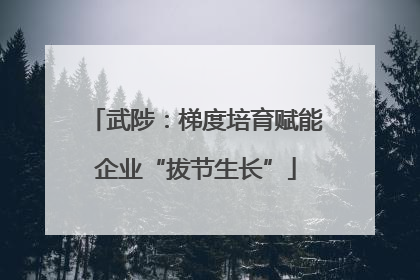 武陟：梯度培育赋能企业“拔节生长”