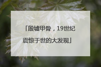 殷墟甲骨，19世纪震惊于世的大发现