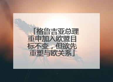 格鲁吉亚总理重申加入欧盟目标不变，但欲先重塑与欧关系