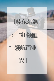 桂东东洛：“红领雁”领航百业兴