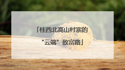 桂西北高山村寨的“云端”致富路