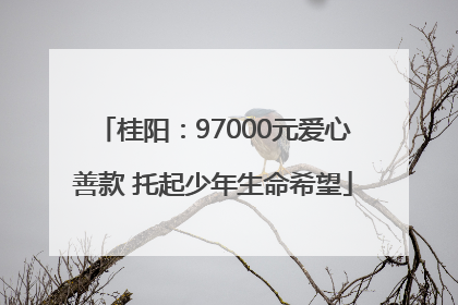 桂阳：97000元爱心善款 托起少年生命希望