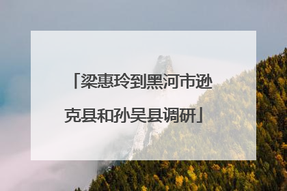 梁惠玲到黑河市逊克县和孙吴县调研