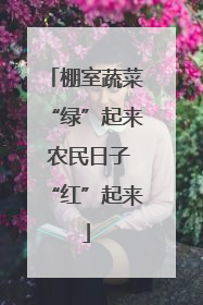 棚室蔬菜“绿”起来 农民日子“红”起来