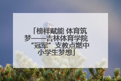 榜样赋能 体育筑梦——吉林体育学院“冠军”支教点燃中小学生梦想