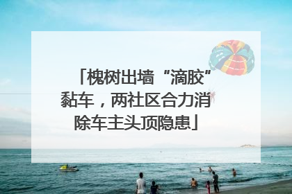 槐树出墙“滴胶”黏车，两社区合力消除车主头顶隐患