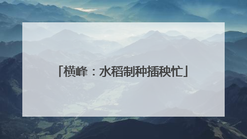 横峰：水稻制种插秧忙