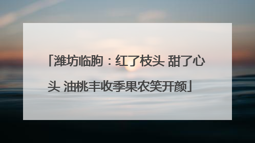 潍坊临朐：红了枝头 甜了心头 油桃丰收季果农笑开颜