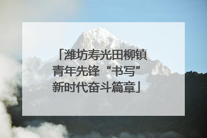 潍坊寿光田柳镇青年先锋“书写”新时代奋斗篇章