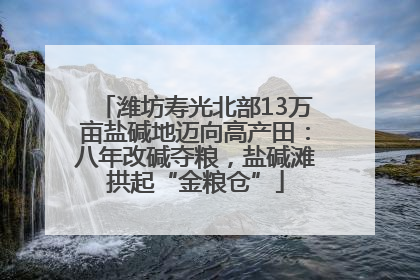 潍坊寿光北部13万亩盐碱地迈向高产田：八年改碱夺粮，盐碱滩拱起“金粮仓”