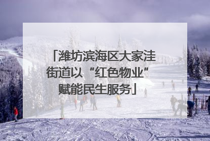 潍坊滨海区大家洼街道以“红色物业”赋能民生服务