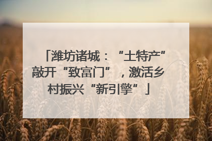 潍坊诸城：“土特产”敲开“致富门”，激活乡村振兴“新引擎”