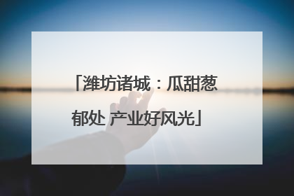 潍坊诸城：瓜甜葱郁处 产业好风光