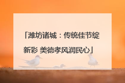 潍坊诸城：传统佳节绽新彩 美德孝风润民心