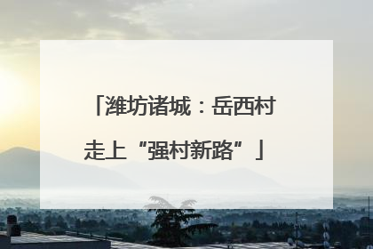 潍坊诸城：岳西村走上“强村新路”