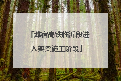 潍宿高铁临沂段进入架梁施工阶段