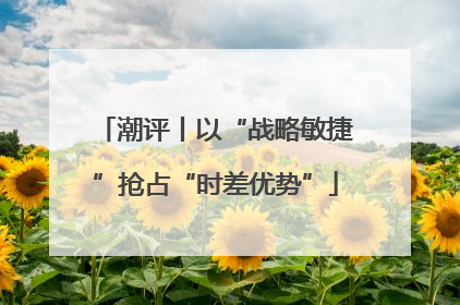 潮评丨以“战略敏捷”抢占“时差优势”
