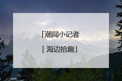 潮闻小记者｜海边拾趣