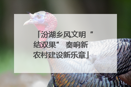 汾湖乡风文明“结双果” 奏响新农村建设新乐章
