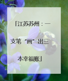 江苏苏州：一支笔“画”出三本幸福账