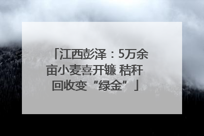 江西彭泽：5万余亩小麦喜开镰 秸秆回收变“绿金”