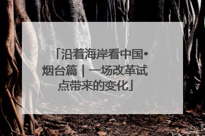 沿着海岸看中国•烟台篇｜一场改革试点带来的变化