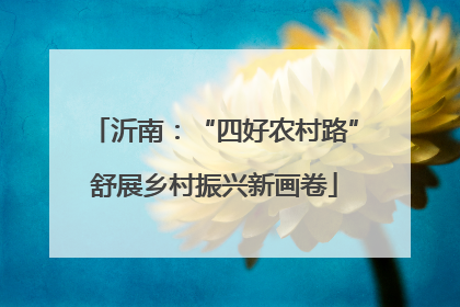 沂南：“四好农村路”舒展乡村振兴新画卷