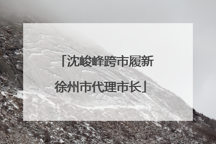 沈峻峰跨市履新徐州市代理市长