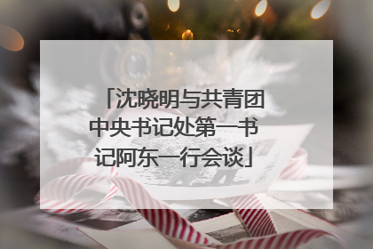 沈晓明与共青团中央书记处第一书记阿东一行会谈