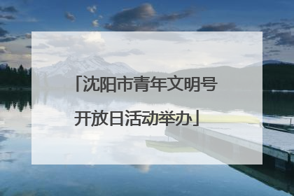 沈阳市青年文明号开放日活动举办