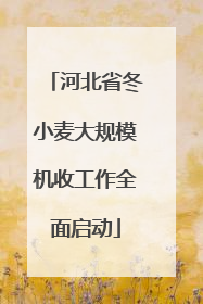 河北省冬小麦大规模机收工作全面启动