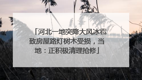 河北一地突降大风冰雹致房屋路灯树木受损，当地：正积极清理抢修