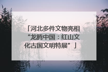 河北多件文物亮相“龙腾中国：红山文化古国文明特展”
