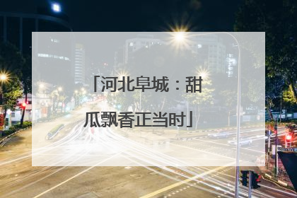 河北阜城：甜瓜飘香正当时