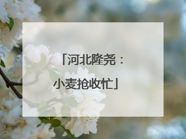 河北隆尧：小麦抢收忙