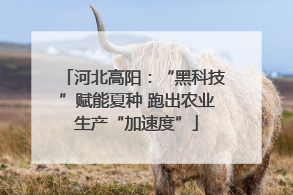 河北高阳：“黑科技”赋能夏种 跑出农业生产“加速度”