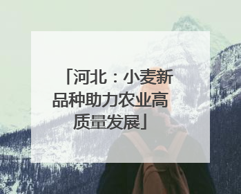 河北：小麦新品种助力农业高质量发展