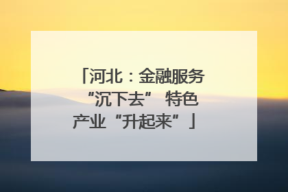 河北：金融服务“沉下去” 特色产业“升起来”