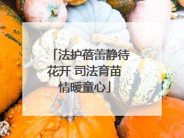 法护蓓蕾静待花开 司法育苗情暖童心