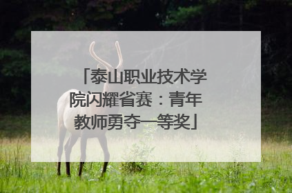 泰山职业技术学院闪耀省赛：青年教师勇夺一等奖
