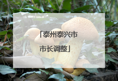 泰州泰兴市市长调整