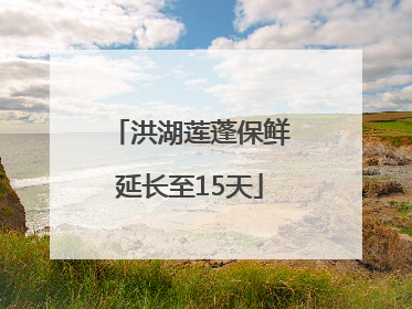 洪湖莲蓬保鲜延长至15天