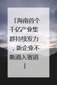 海南首个千亿产业集群持续发力，新企业不断涌入赛道